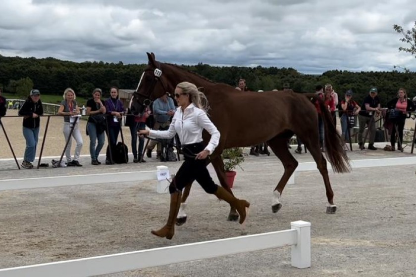 Yasmin Ingham & Banzai du Loir at the horse inspection